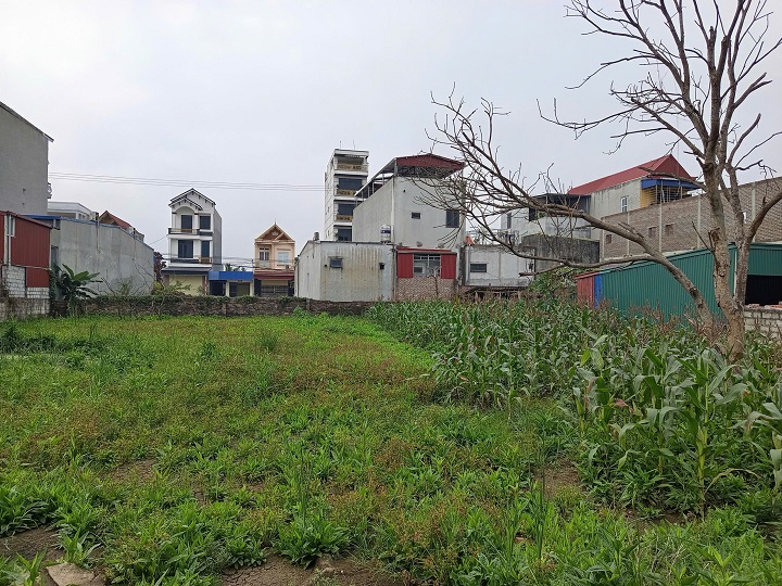 Bán Đất Thôn Hoà Chử, Xã Trường Thành, An Lão, Hải Phòng – 765m² Vuông Đẹp, Giá x,5 Tỷ